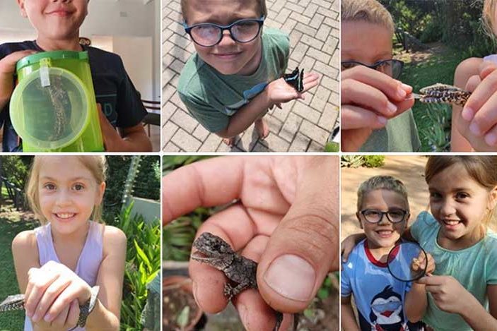 Só lyk die inskrywings vir #tuisinjoutaal!
