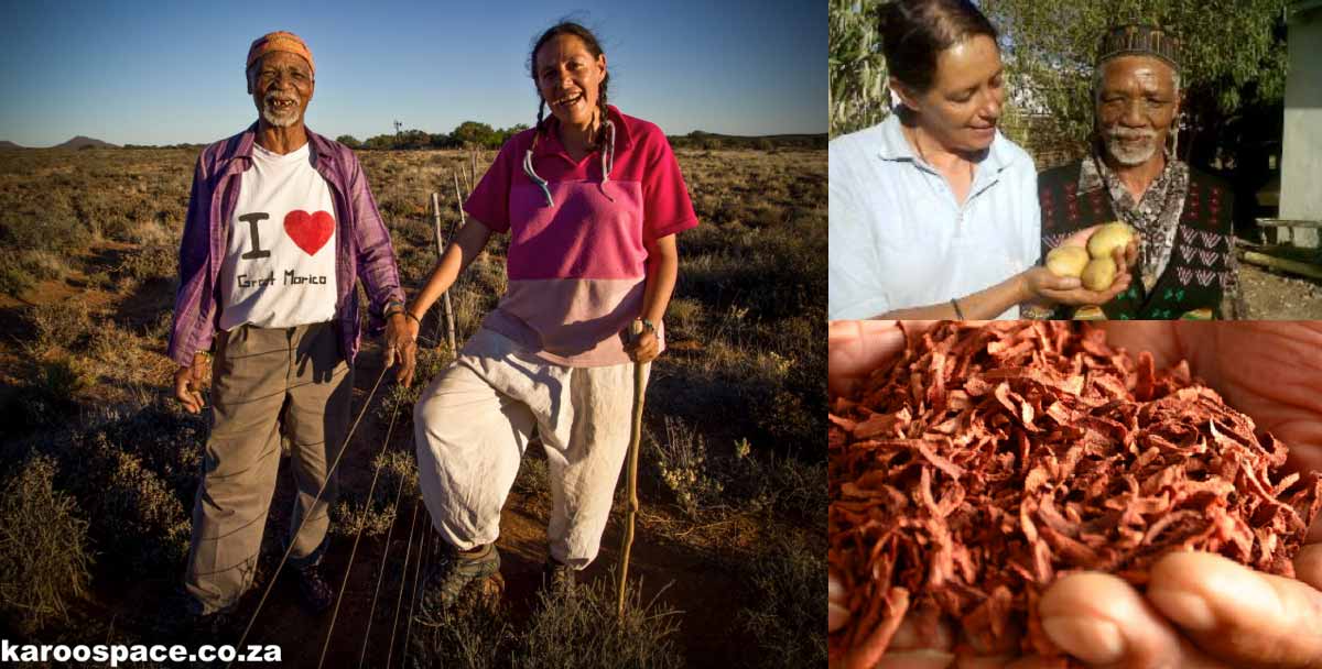 Antoinette Pienaar – Ons eie Karookruiekoningin