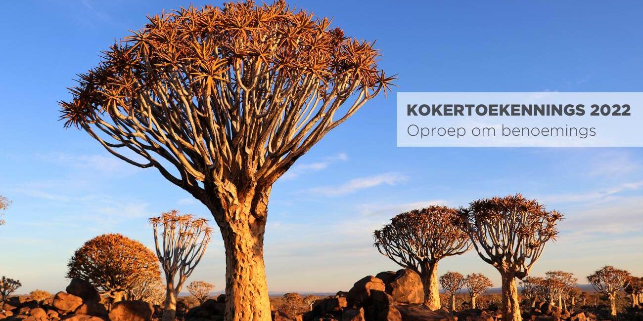 Kokernominasies