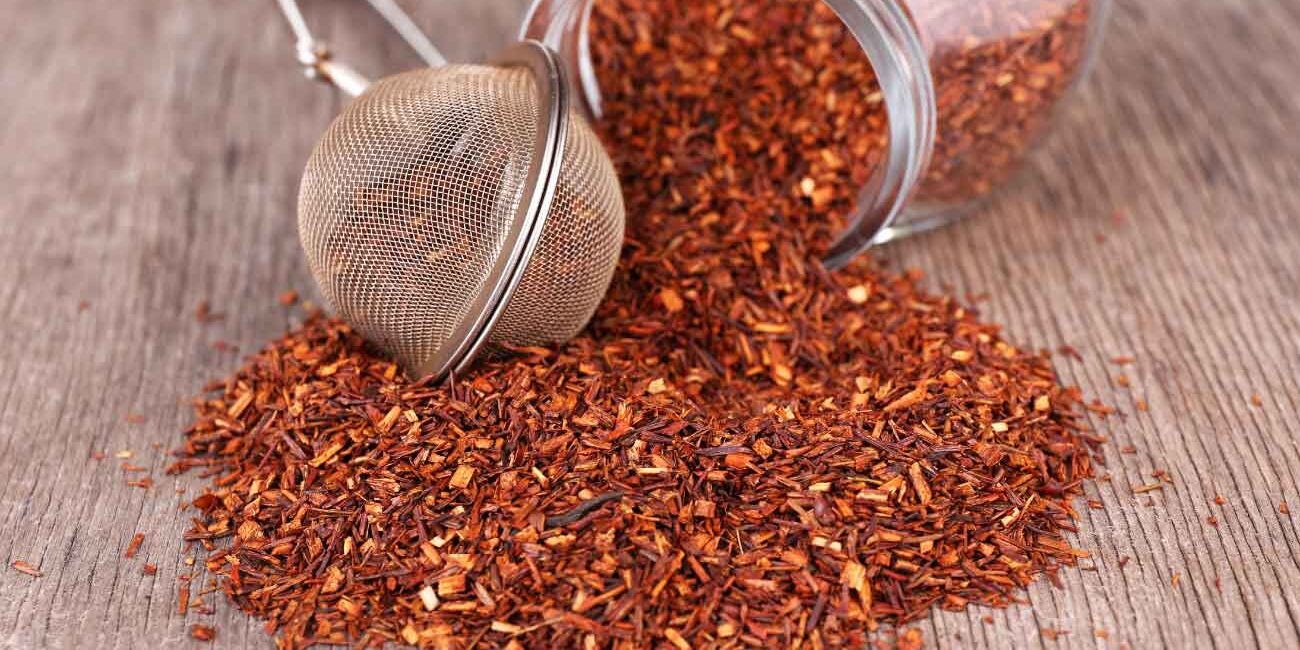 Rooibos